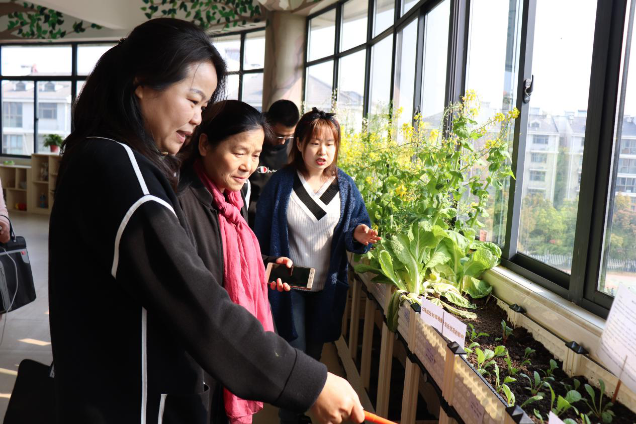 图片5.png 图片5.png