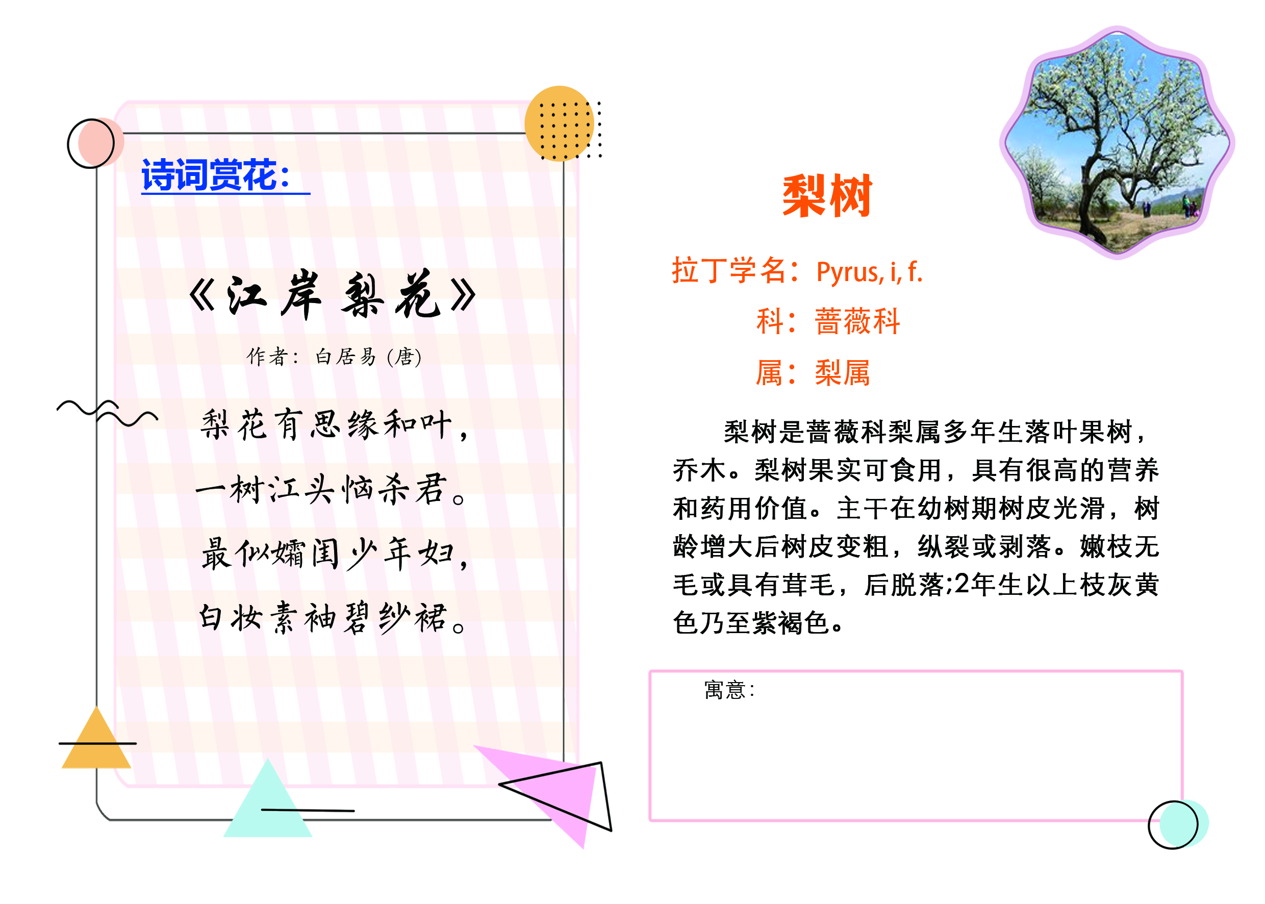 C:\Users\tsmss\Desktop\增加树牌对稿文件\梨树.jpg C:\Users\tsmss\Desktop\增加树牌对稿文件\梨树.jpg