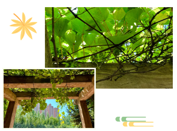 PLY3153S8V3Y_CZN@Q3G7NI.png PLY3153S8V3Y_CZN@Q3G7NI.png